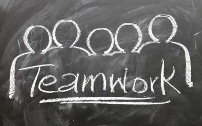 Društvo ASPI zaposljuje! Si kos izzivu?